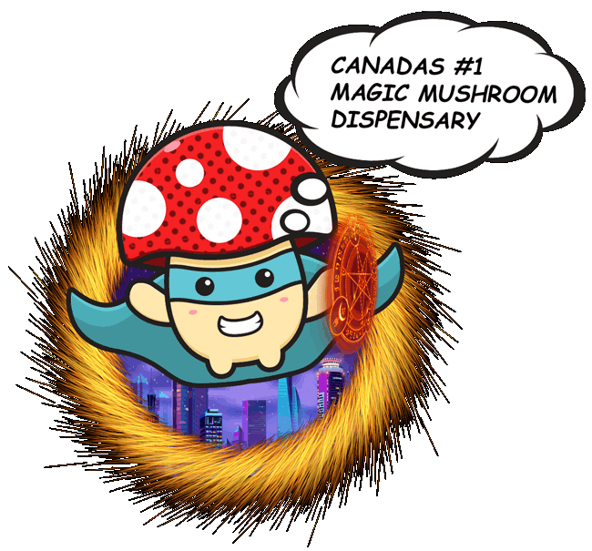 Canada`s best magic mushrooms dispensary