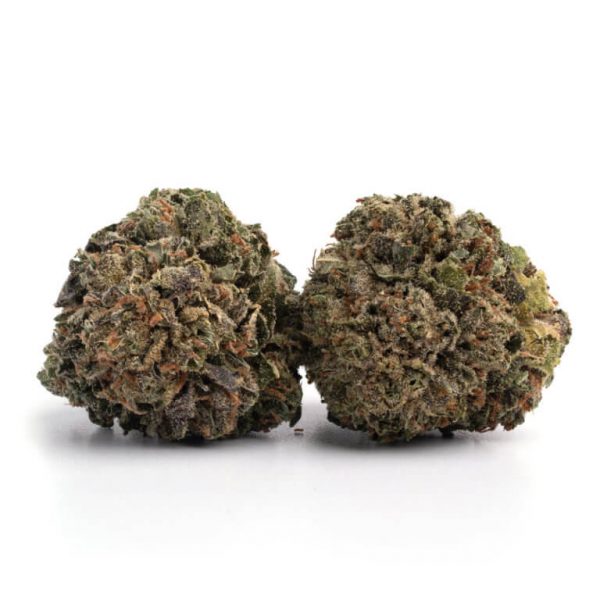 Purple Kush | Indica - Buy Cannabis Indica Flowers Online - Magic Mushroom Dispensary