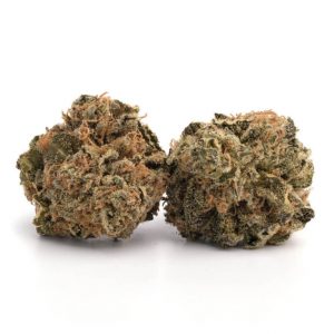 White Castle | Hybrid - Buy Cannabis Hybrid Flowers Online - Magic Mushroom Dispensary